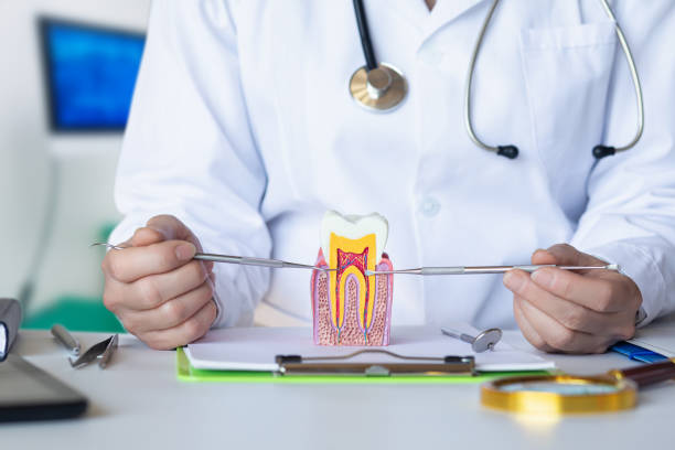 Best Emergency Cosmetic Dentistry in Clinton, LA